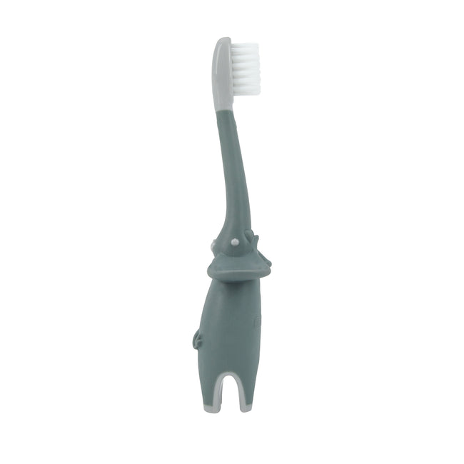 Toddler Training Toothbrushes (2 Pack)