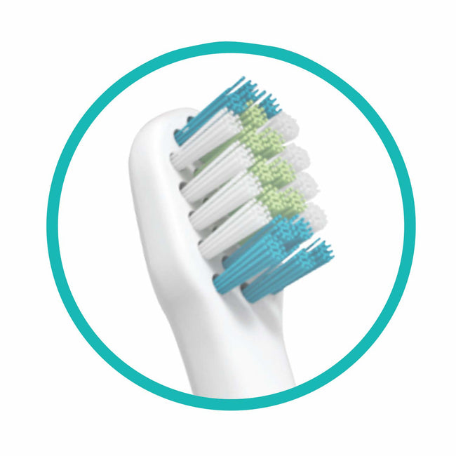 Sonic Toothbrush Replacement Head - 4 pack - Dr Talbot's US