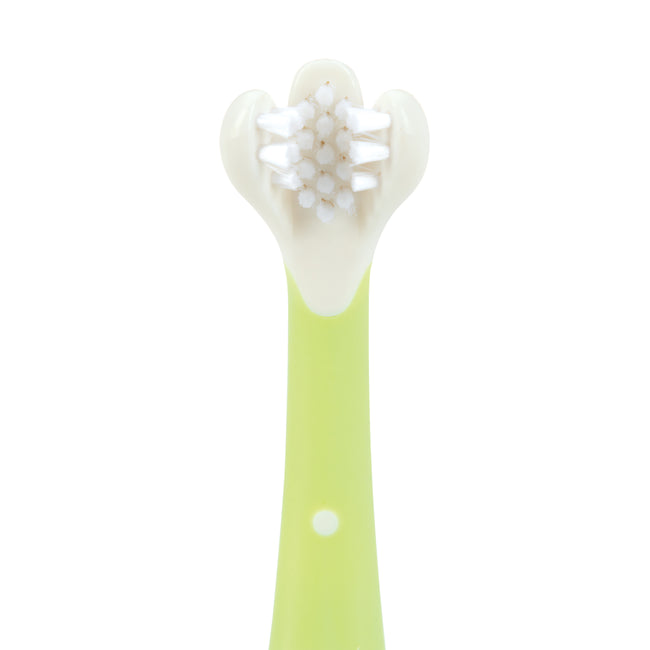 Baby Toothbrush Training Set