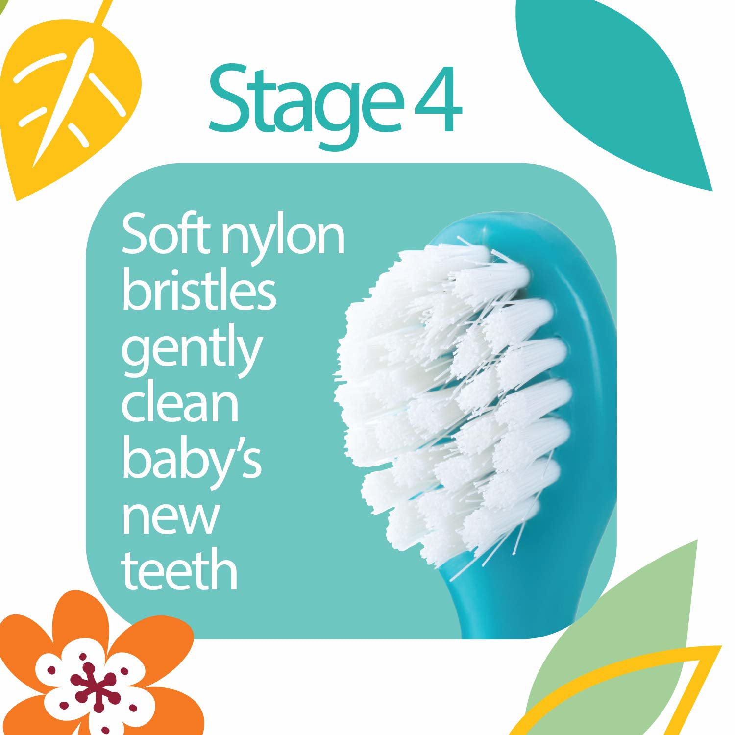 Oral Care Set 4-Stage System - Dr Talbot's US